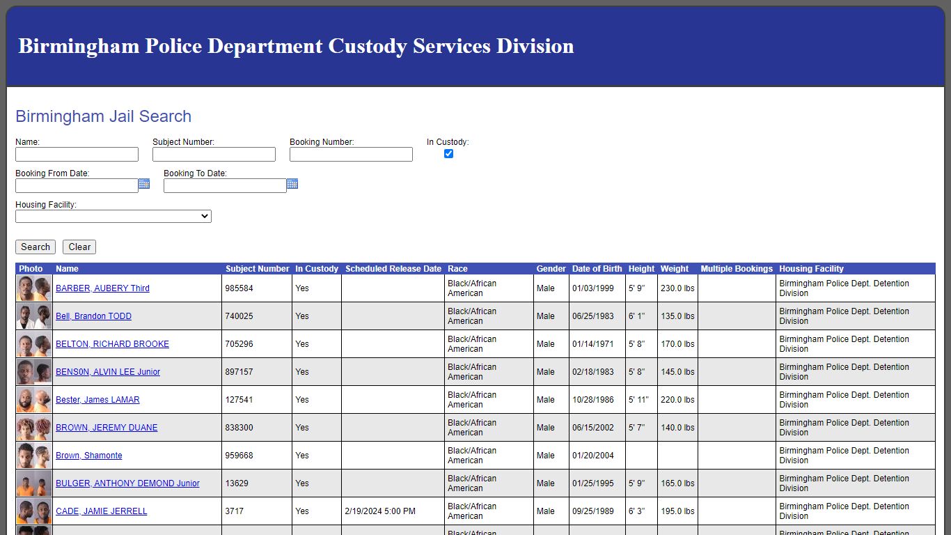 Birmingham Jail Search